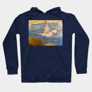 Tern Takeoff Hoodie